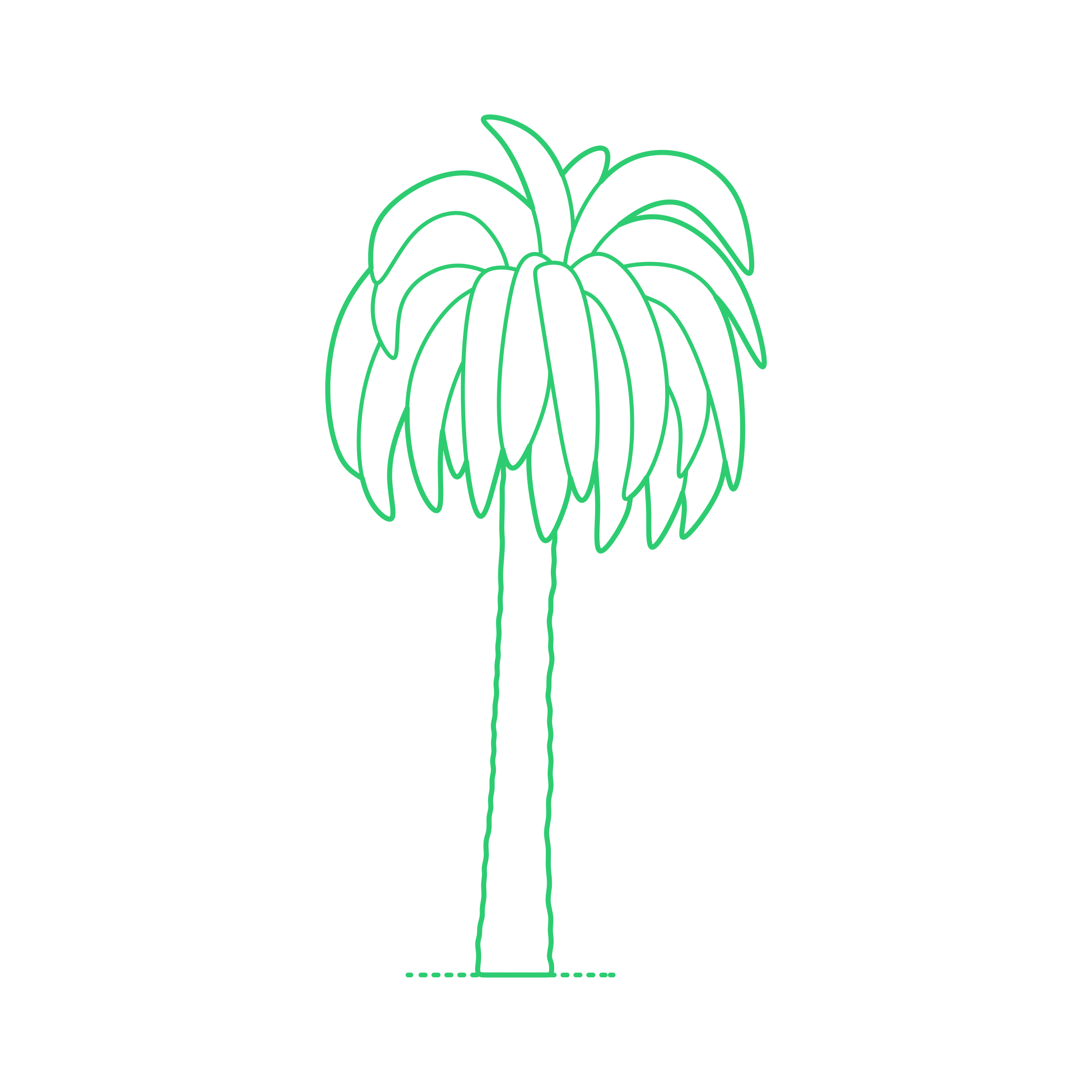 Plants Cycads Giant Burrawang Vinyl Cutting Svg File Free Vectors